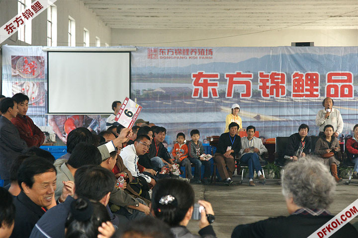 200810 ڶƷᱨ
