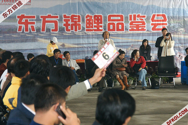200810 ڶƷᱨ