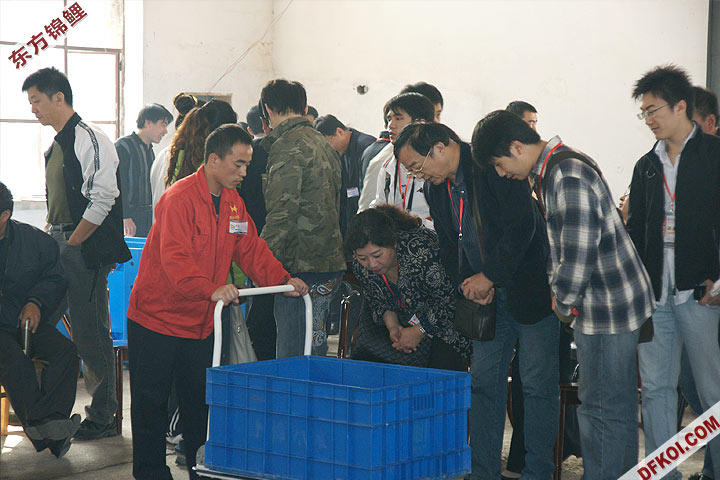 200810 ڶƷᱨ