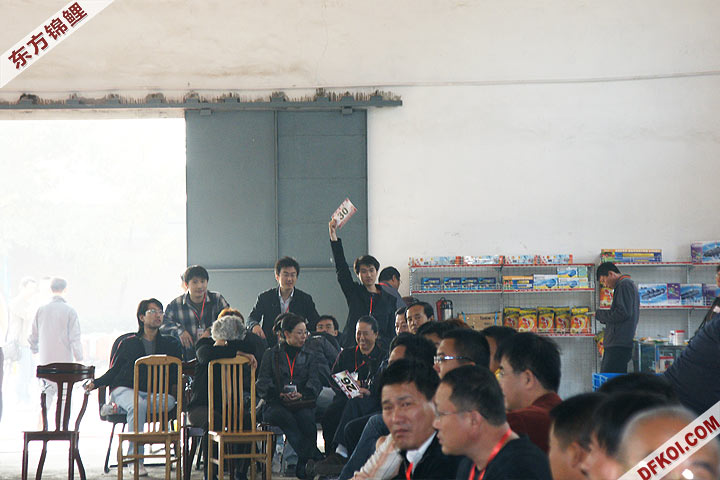 200810 ڶƷᱨ