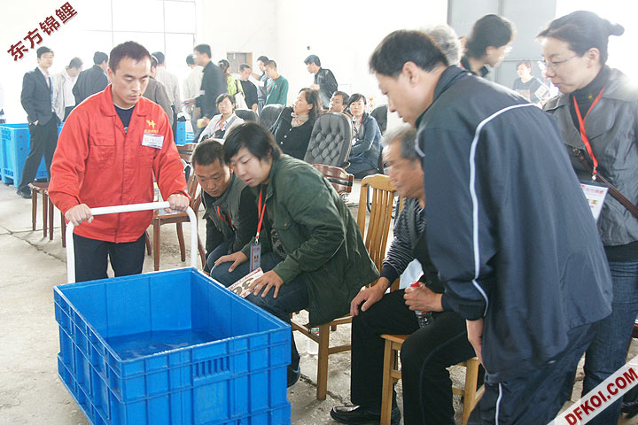 200810 ڶƷᱨ