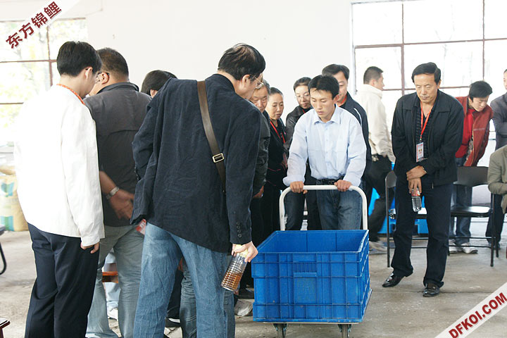 200810 ڶƷᱨ