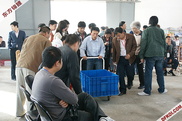 200810 ڶƷᱨ