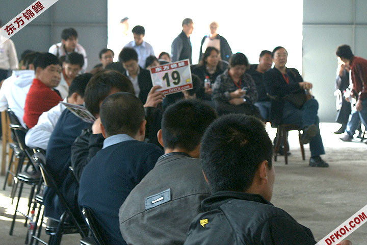 200810 ڶƷᱨ