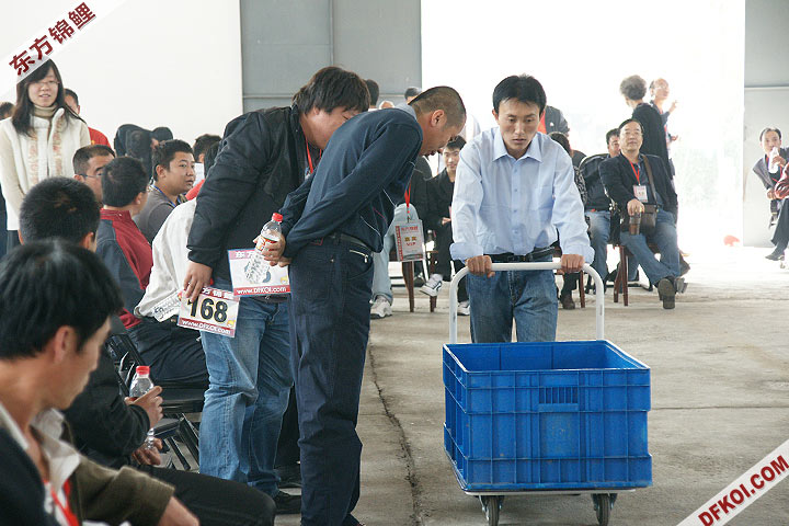200810 ڶƷᱨ
