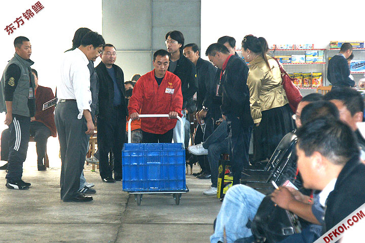 200810 ڶƷᱨ