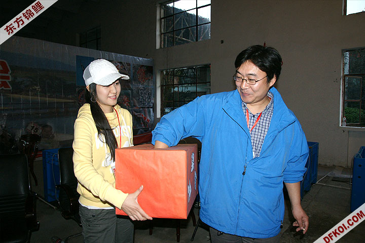 200810 ڶƷᱨ