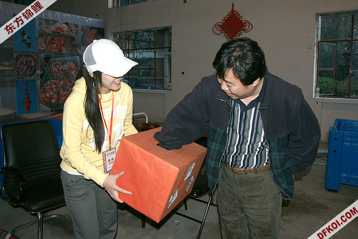 200810 ڶƷᱨ