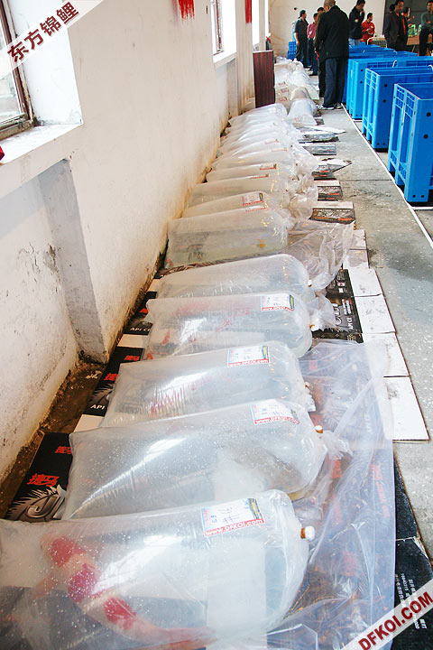 200810 ڶƷᱨ