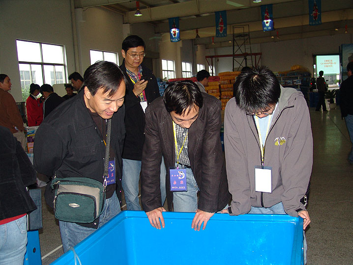 ϺһƷᱨ 20061118 