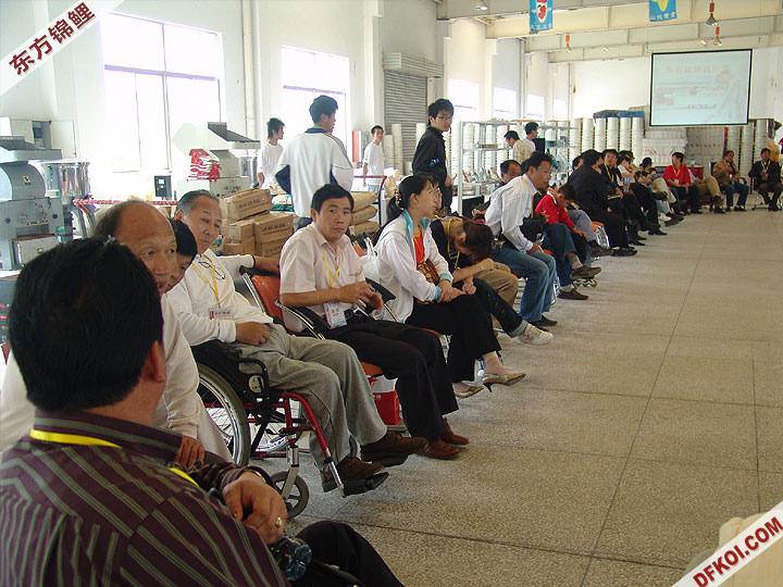 20075 ϺڶƷᱨ