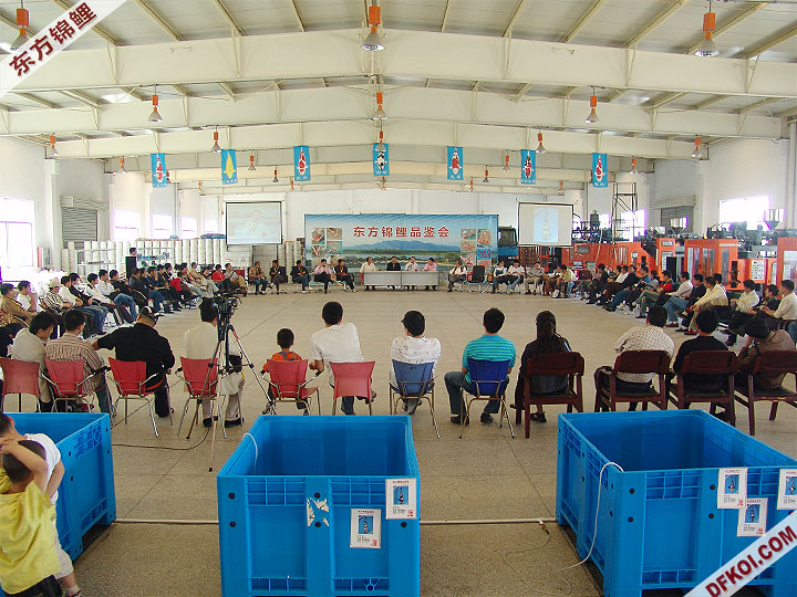20075 ϺڶƷᱨ