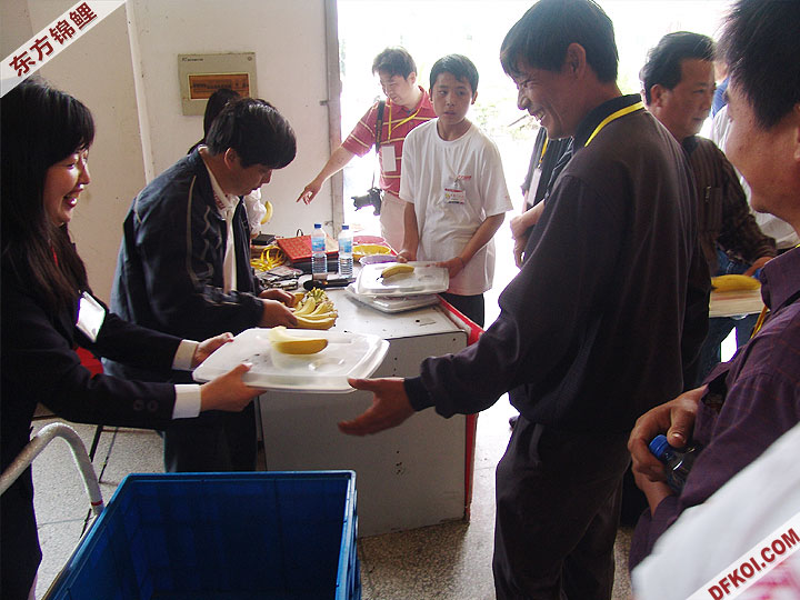 20075 ϺڶƷᱨ
