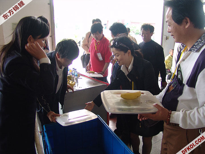 20075 ϺڶƷᱨ