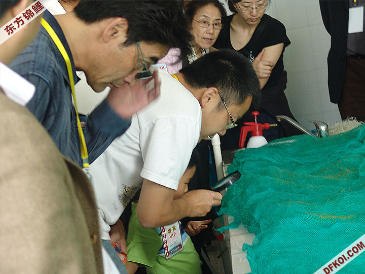 20075 ϺڶƷᱨ
