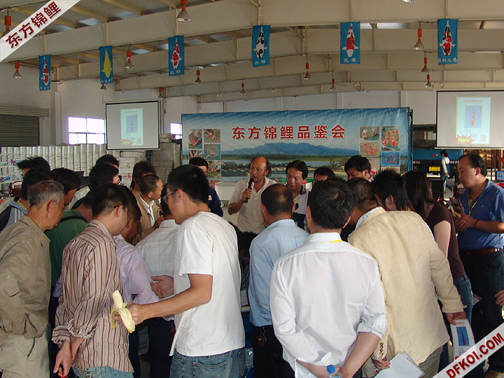 20075 ϺڶƷᱨ