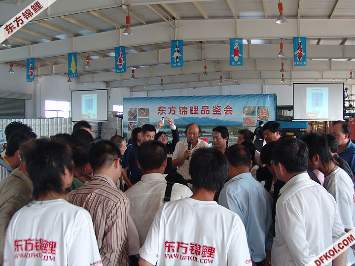 20075 ϺڶƷᱨ