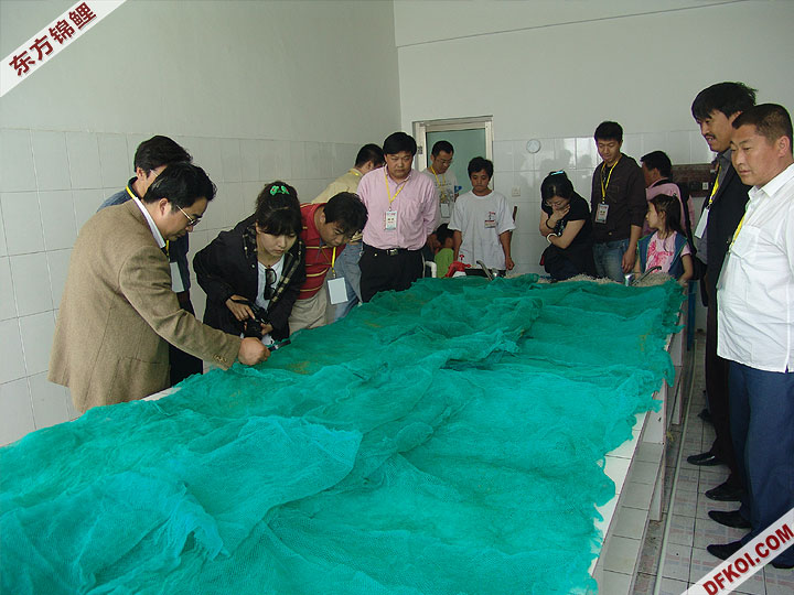 20075 ϺڶƷᱨ