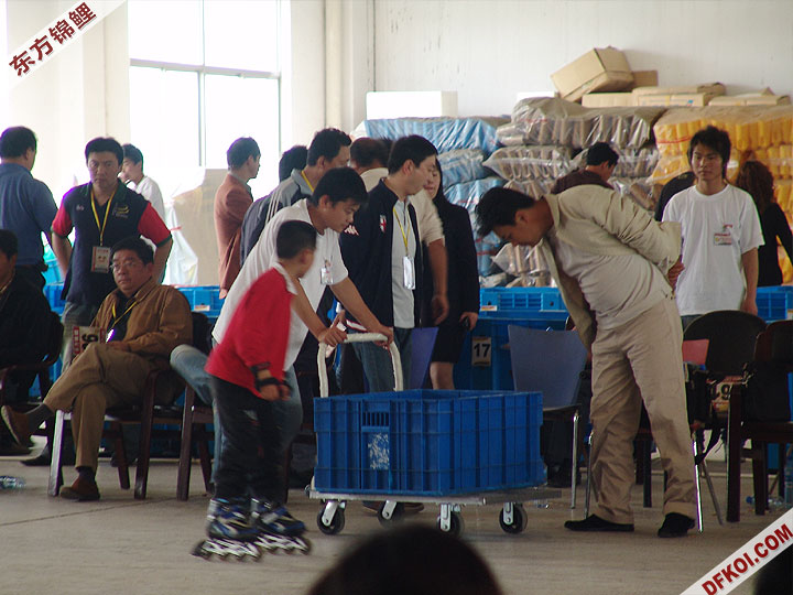 20075 ϺڶƷᱨ