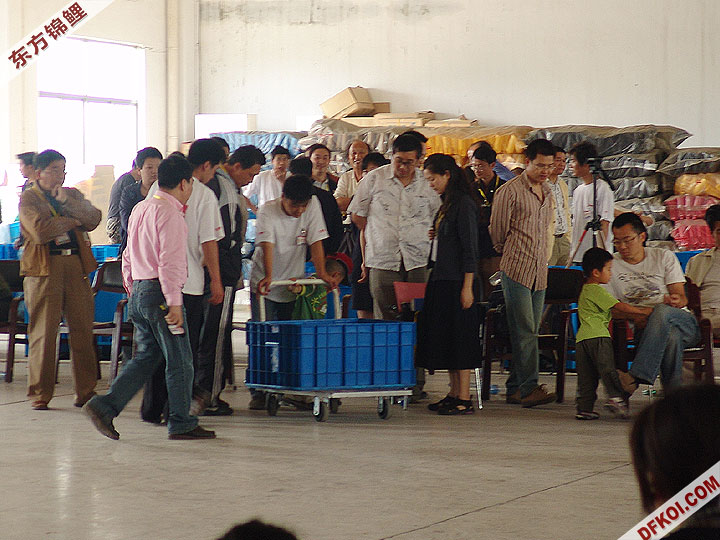 20075 ϺڶƷᱨ