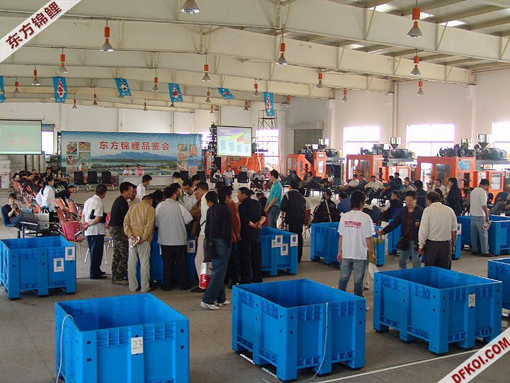 20075 ϺڶƷᱨ