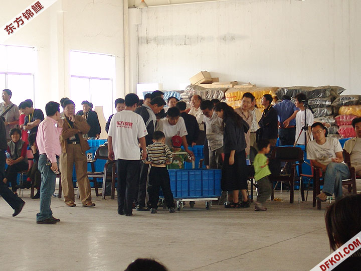 20075 ϺڶƷᱨ