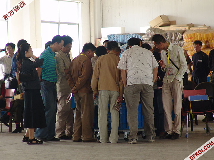 20075 ϺڶƷᱨ