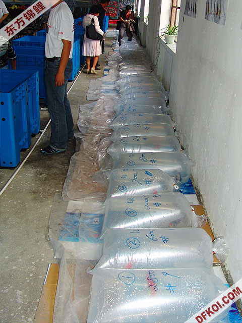 200710 һƷᱨ