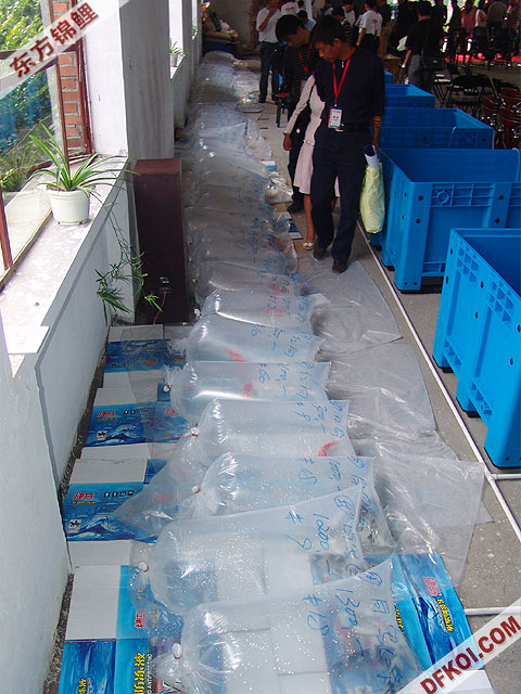 200710 һƷᱨ