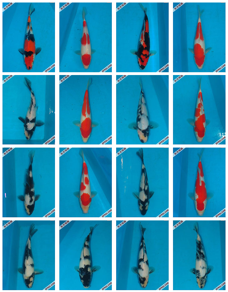 ֲμ200710±ƷĽƬ