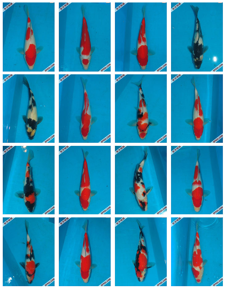 ֲμ200710±ƷĽƬ