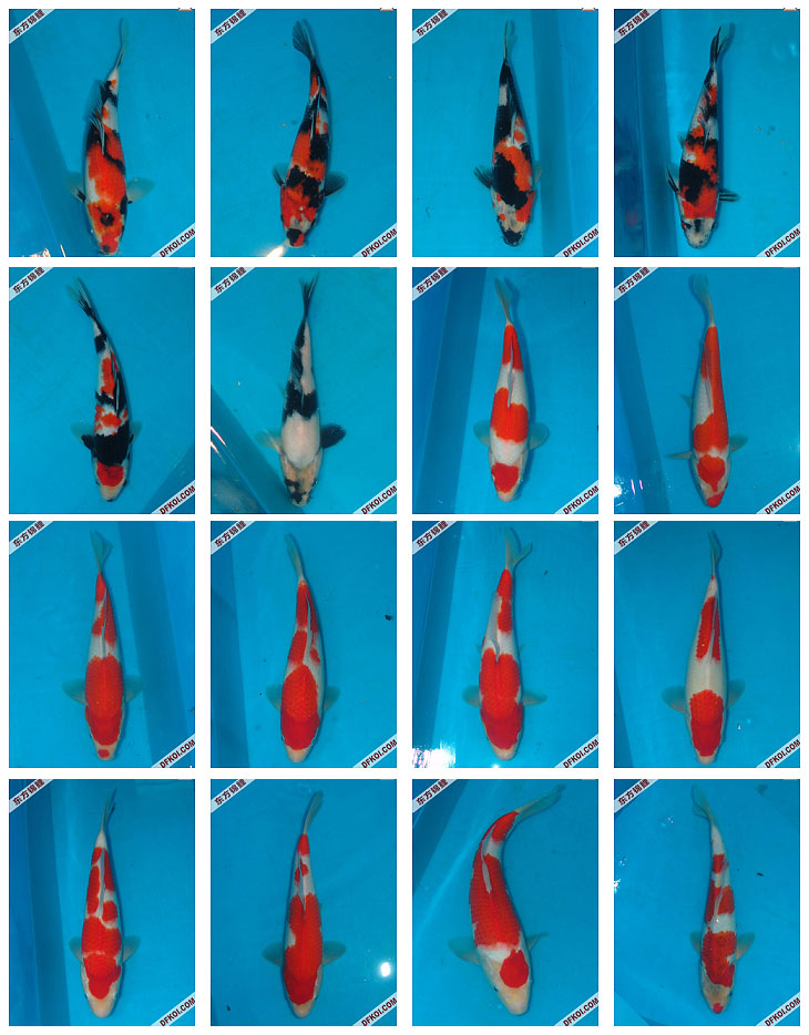 ֲμ200710±ƷĽƬ