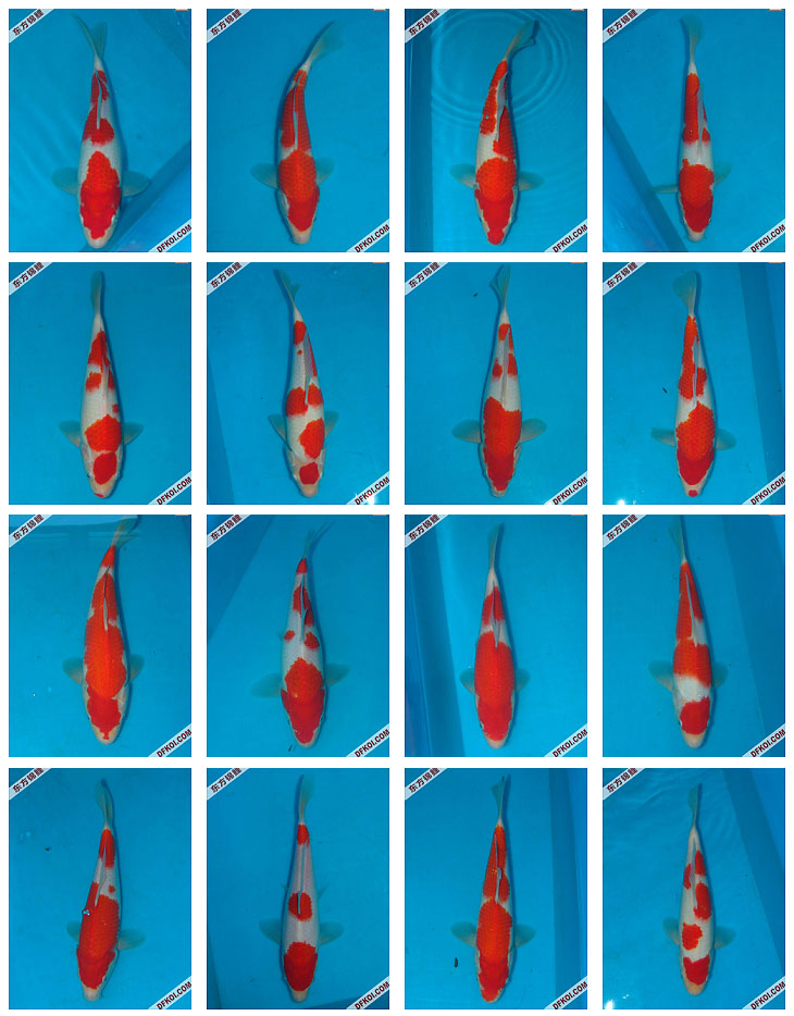 ֲμ200710±ƷĽƬ