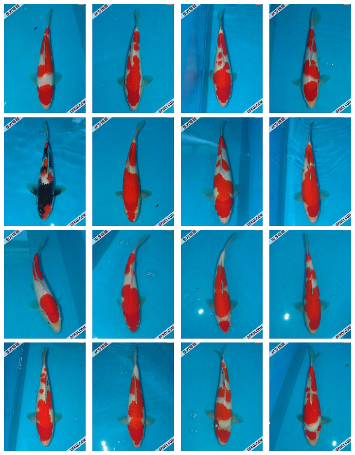 ֲμ200710±ƷĽƬ