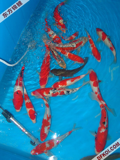 200710 ϺƷᱨ