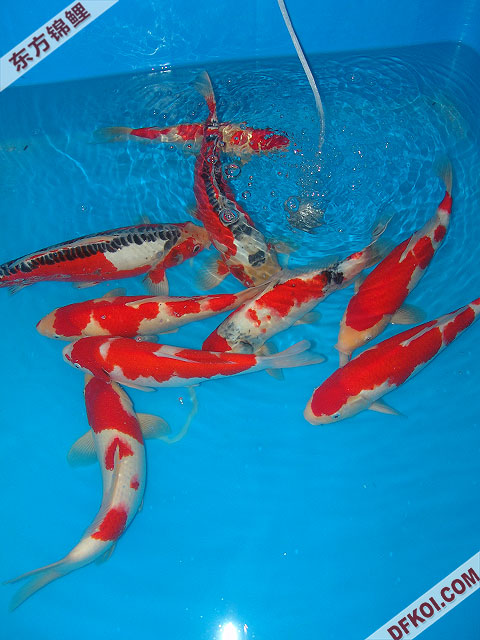 200710 ϺƷᱨ