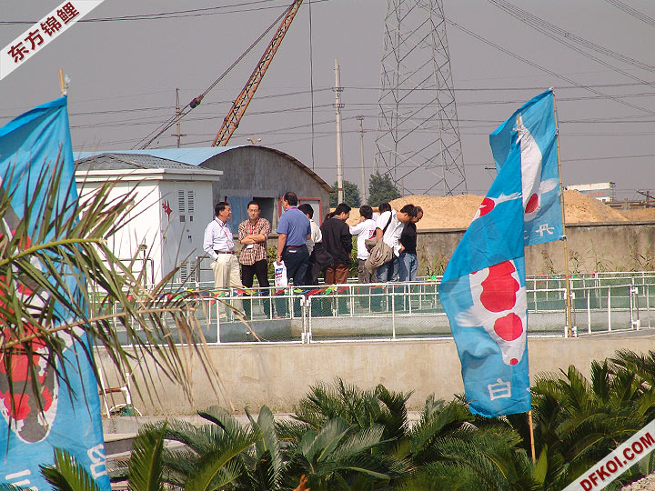 200710 ϺƷᱨ