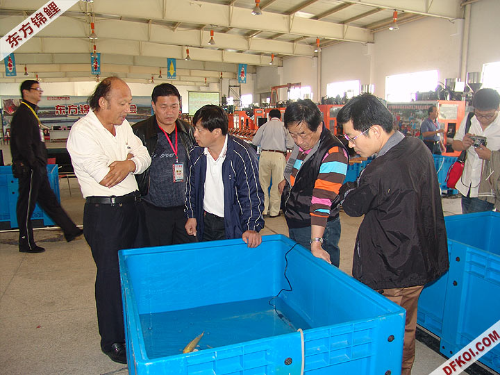 200710 ϺƷᱨ