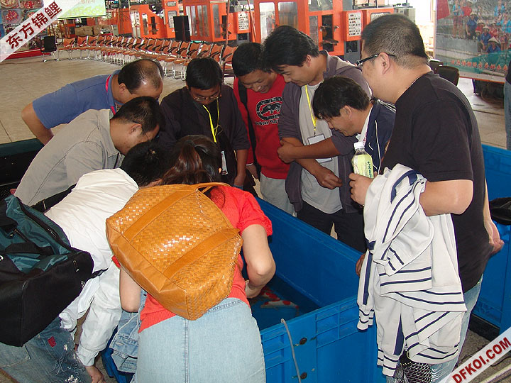 200710 ϺƷᱨ