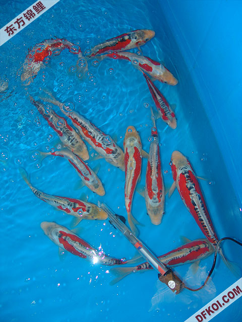 200710 ϺƷᱨ