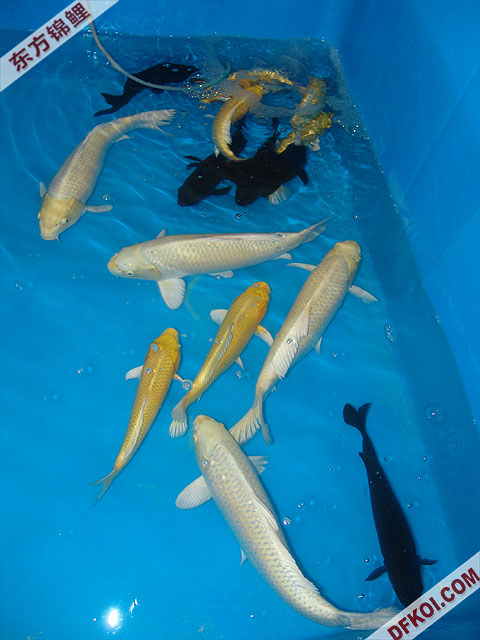 200710 ϺƷᱨ