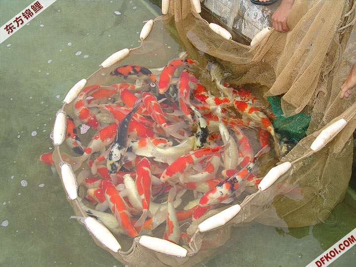 ֲμ200710ϺƷĽƬ