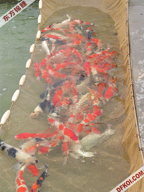 ֲμ200710ϺƷĽƬ