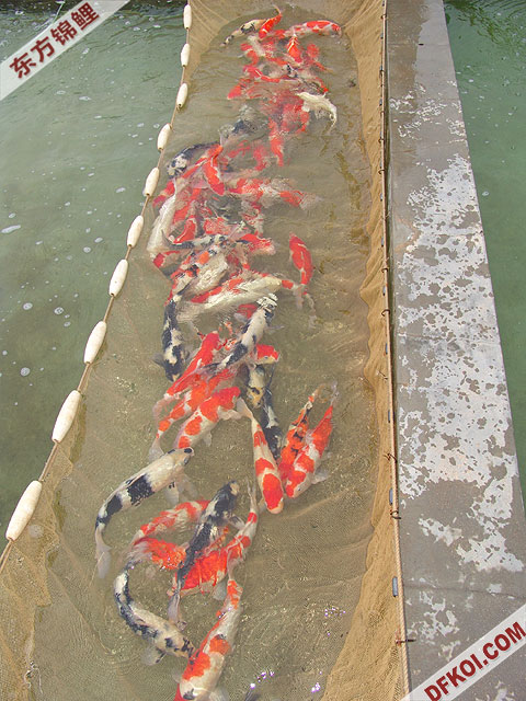 ֲμ200710ϺƷĽƬ