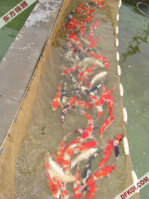 ֲμ200710ϺƷĽƬ