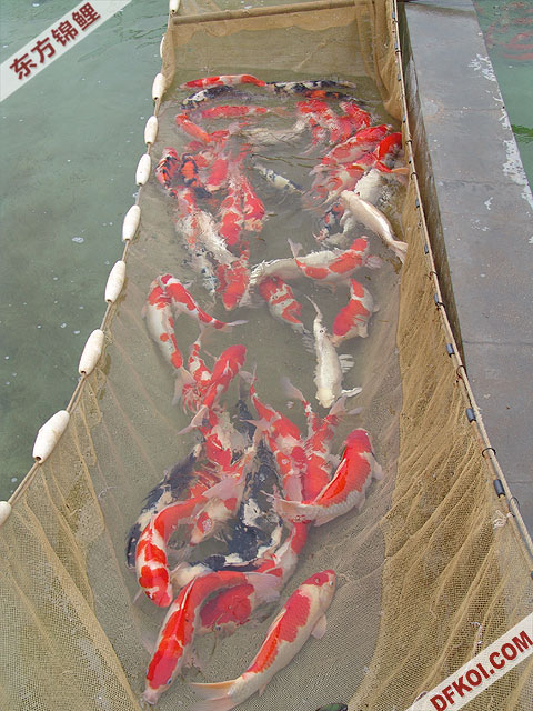 ֲμ200710ϺƷĽƬ