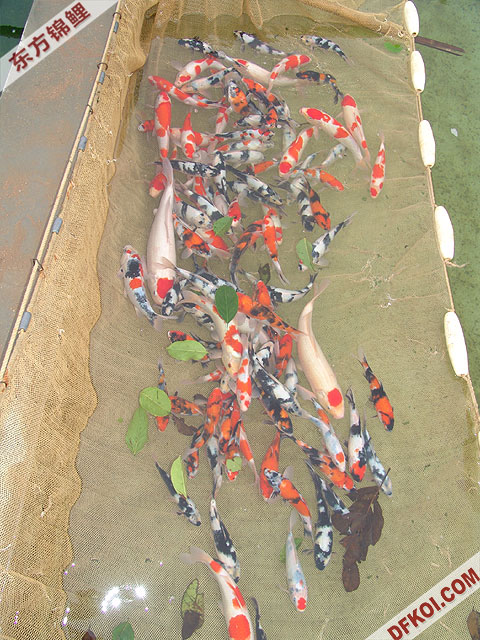 ֲμ200710ϺƷĽƬ