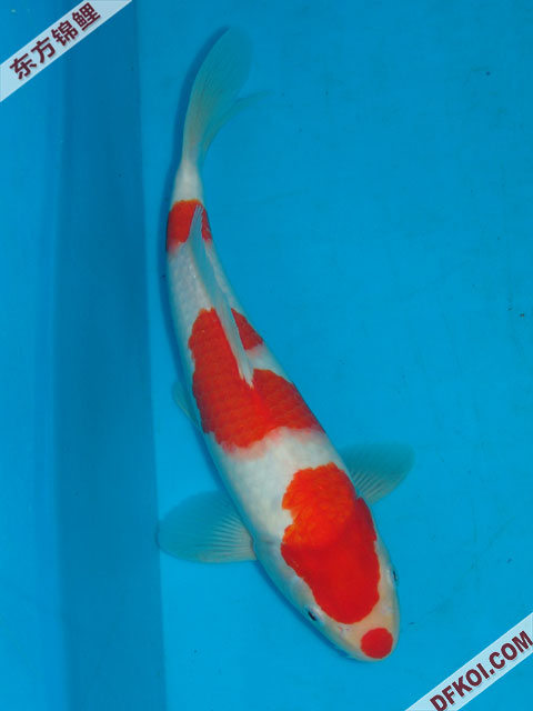 ֲμ200710ϺƷĽƬ
