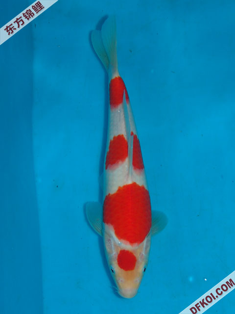 ֲμ200710ϺƷĽƬ