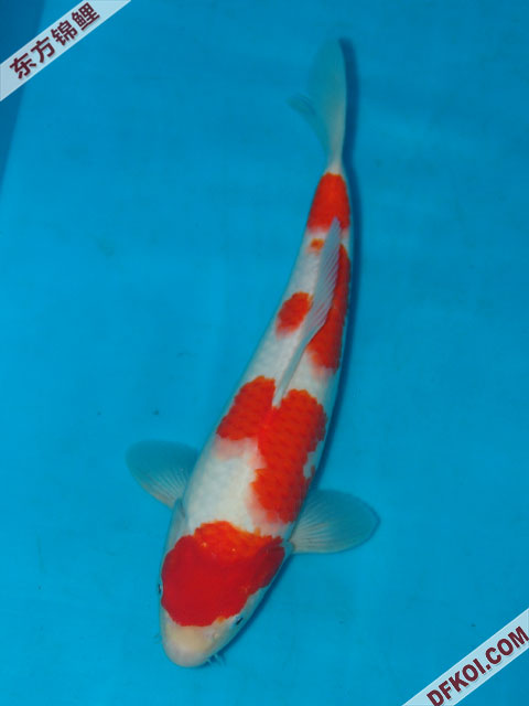 ֲμ200710ϺƷĽƬ